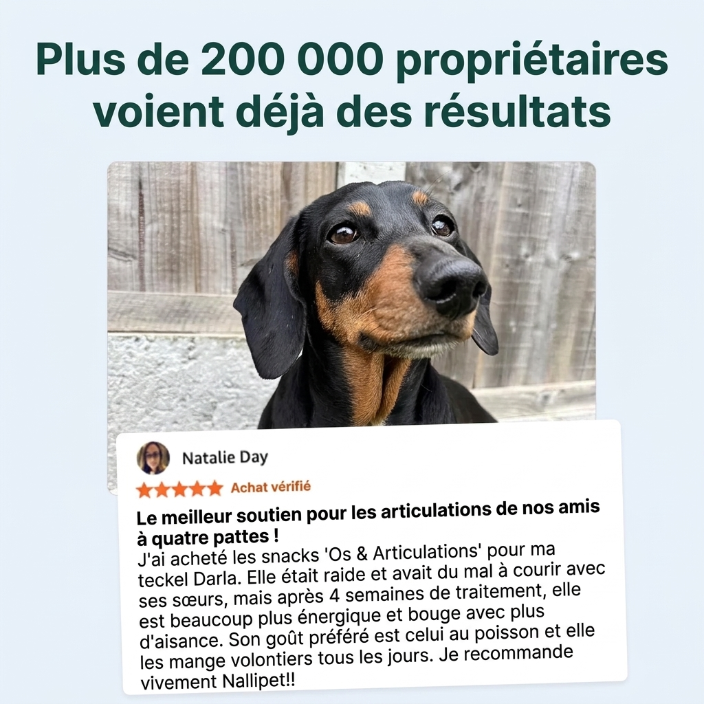 Os et articulations™