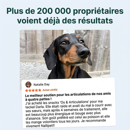Os et articulations™