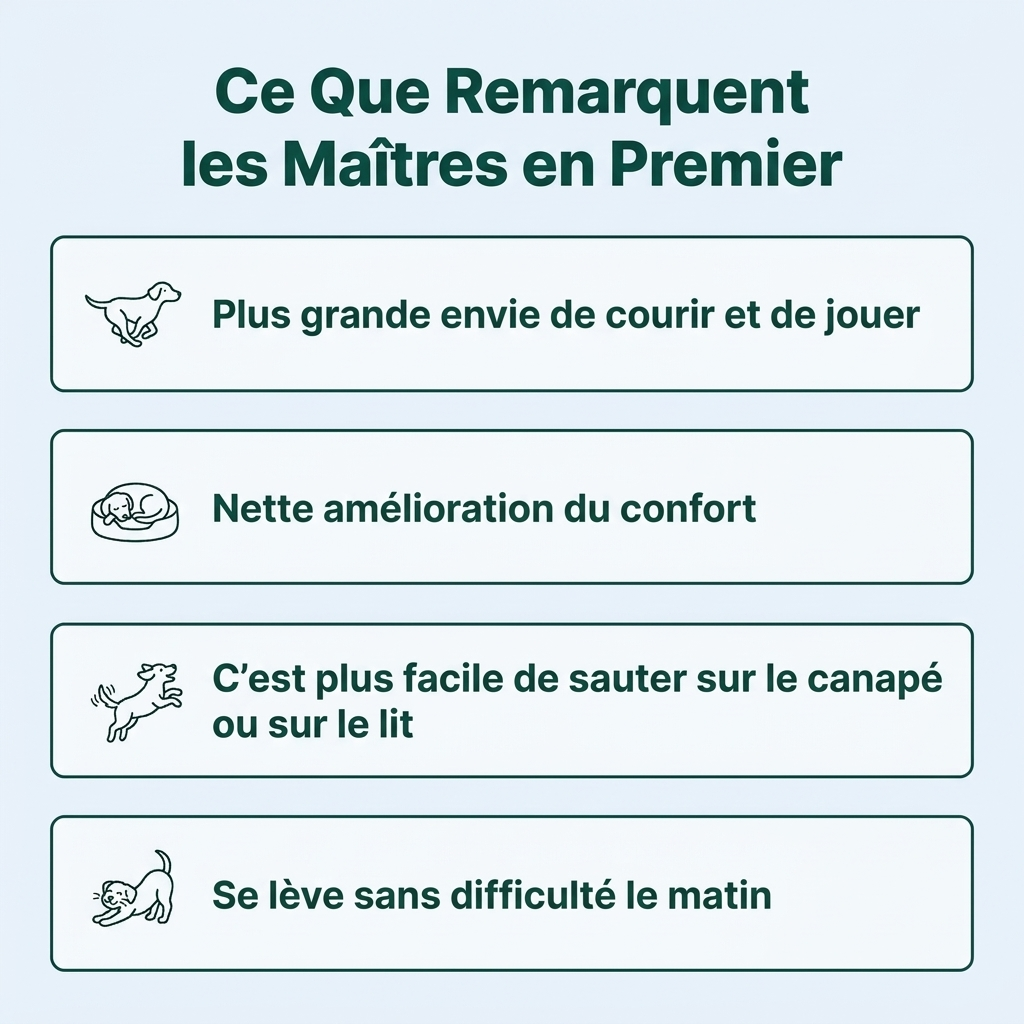 Os et articulations™