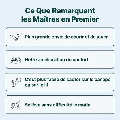Os et articulations™