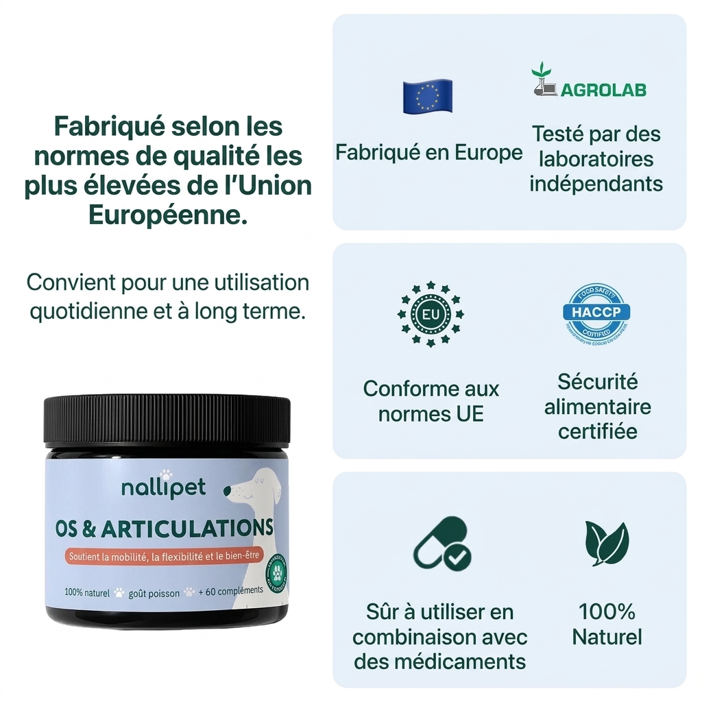 Os et articulations™